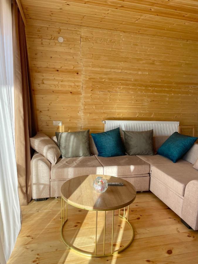 Twin Cottages Kazbegi Extérieur photo