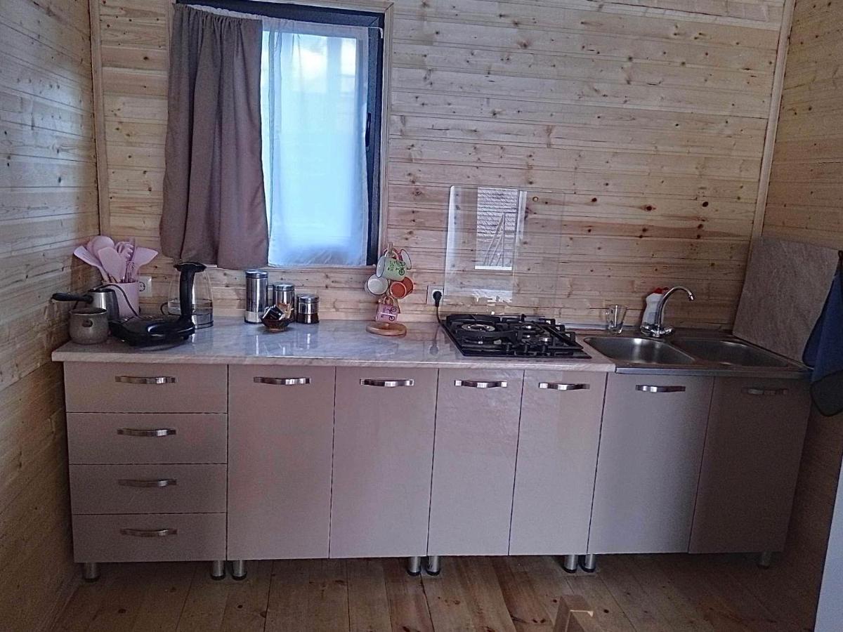 Twin Cottages Kazbegi Extérieur photo